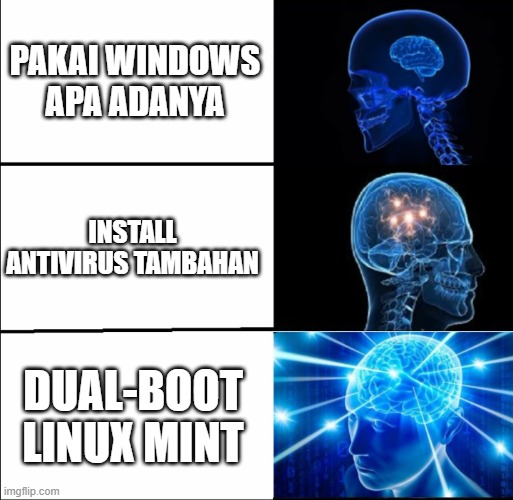 Meme Expanding Brain: dari pakai Windows apa adanya sampai dual-boot Linux Mint